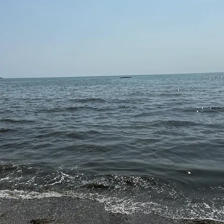 Yarna By Sea